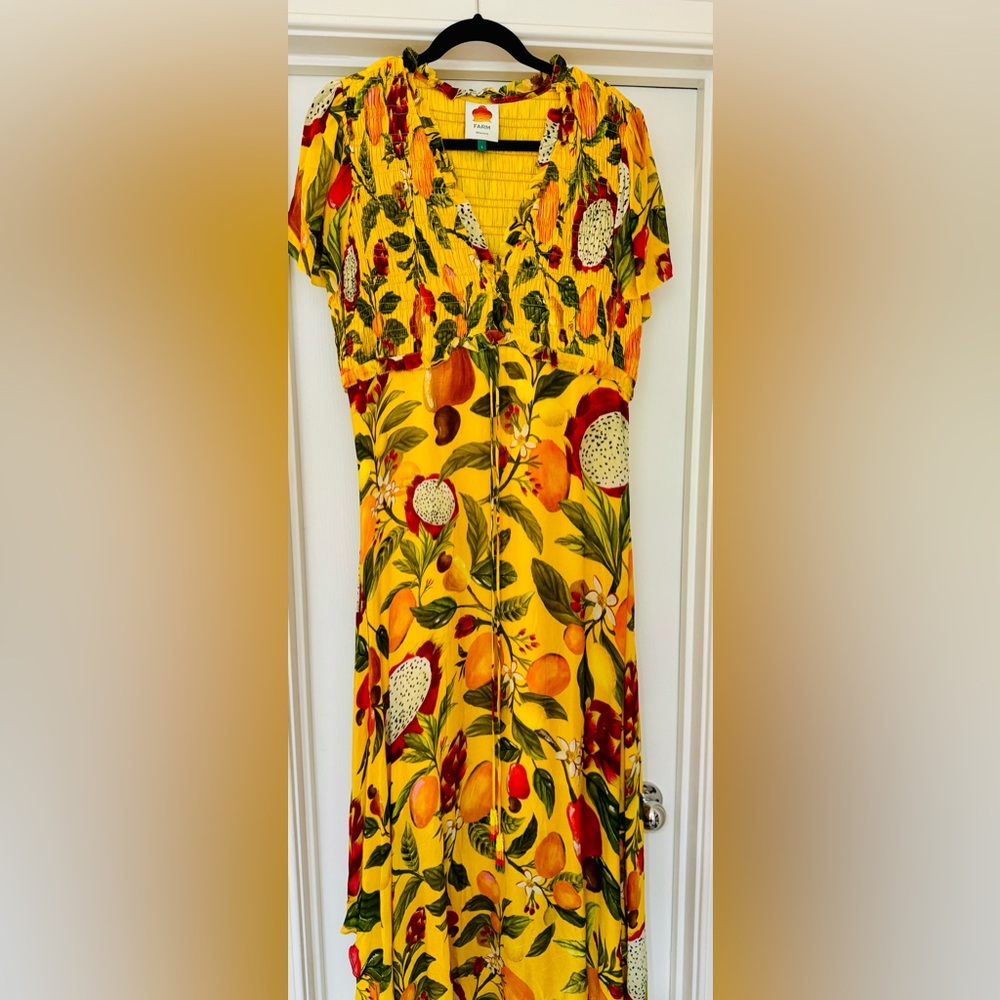 Farm Rio Fruit Lovers Maxi_ NWOT (only tried on)